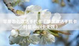 苹果怎么激活手机卡（苹果激活手机卡时显示SIM卡无效）