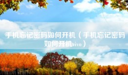 手机忘记密码如何开机（手机忘记密码如何开机vivo）