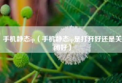 手机静态ip（手机静态ip是打开好还是关闭好）