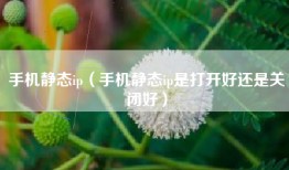 手机静态ip（手机静态ip是打开好还是关闭好）