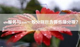 seo服务与sem一般分别包含哪些细分项？