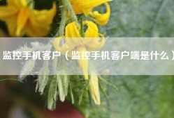 监控手机客户（监控手机客户端是什么）