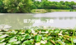 磁力蚂蚁app下载