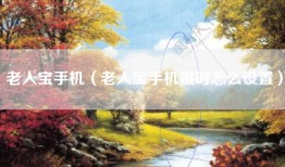 老人宝手机（老人宝手机报时怎么设置）