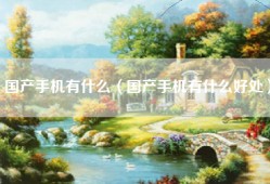 国产手机有什么（国产手机有什么好处）