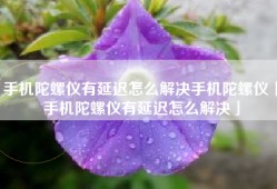 手机陀螺仪有延迟怎么解决手机陀螺仪「手机陀螺仪有延迟怎么解决」
