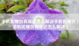 手机陀螺仪有延迟怎么解决手机陀螺仪「手机陀螺仪有延迟怎么解决」