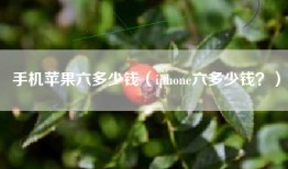 手机苹果六多少钱（iphone六多少钱？）