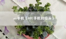 otc手机（OTC手机转接头）