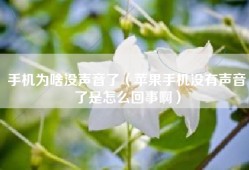 手机为啥没声音了（苹果手机没有声音了是怎么回事啊）