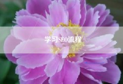 学习SEO流程