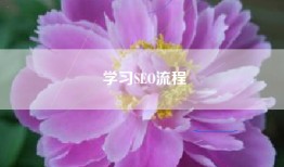 学习SEO流程