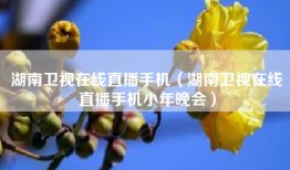 湖南卫视在线直播手机（湖南卫视在线直播手机小年晚会）