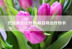 代写商业计划书 项目商业计划书