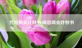 代写商业计划书 项目商业计划书