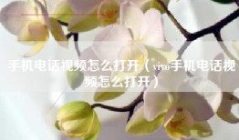 手机电话视频怎么打开（vivo手机电话视频怎么打开）