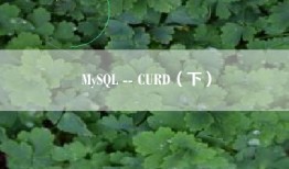 MySQL -- CURD（下）