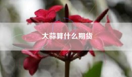 大蒜算什么期货