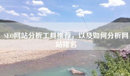 SEO网站分析工具推荐，以及如何分析网站排名
