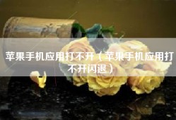 苹果手机应用打不开（苹果手机应用打不开闪退）