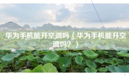 华为手机能开空调吗（华为手机能开空调吗？）