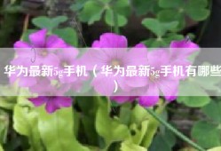 华为最新5g手机（华为最新5g手机有哪些）