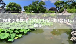 搜索引擎优化（SEO）方法和排名技巧 (摘录)