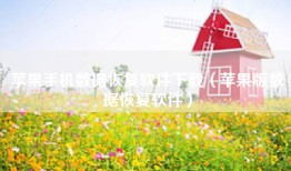 苹果手机数据恢复软件下载（苹果版数据恢复软件）