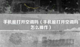 手机能打开空调吗（手机能打开空调吗怎么操作）