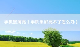 手机黑屏亮（手机黑屏亮不了怎么办）