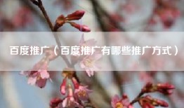 百度推广（百度推广有哪些推广方式）