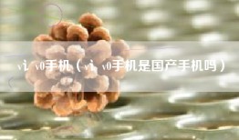 v讠v0手机（v讠v0手机是国产手机吗）