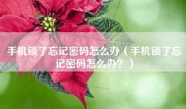 手机锁了忘记密码怎么办（手机锁了忘记密码怎么办？）