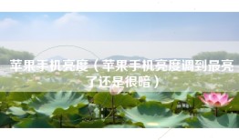 苹果手机亮度（苹果手机亮度调到最亮了还是很暗）