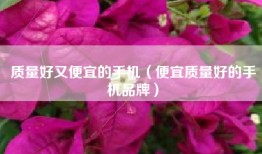 质量好又便宜的手机（便宜质量好的手机品牌）
