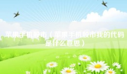 苹果手机股市（苹果手机股市我的代码是什么意思）