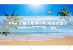中兴 手机（中兴手机官网商城）