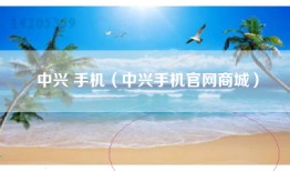 中兴 手机（中兴手机官网商城）