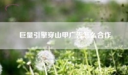 巨量引擎穿山甲广告怎么合作