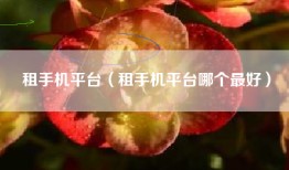 租手机平台（租手机平台哪个最好）