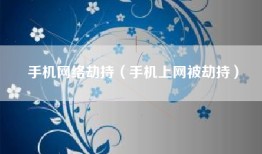 手机网络劫持（手机上网被劫持）