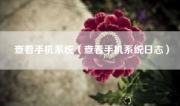 查看手机系统（查看手机系统日志）