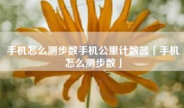 手机怎么测步数手机公里计数器「手机怎么测步数」