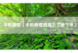 手机观看（手机观看直播怎么录下来）