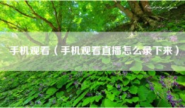 手机观看（手机观看直播怎么录下来）