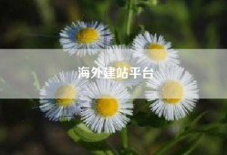 海外建站平台