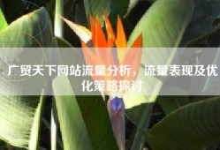广贸天下网站流量分析，流量表现及优化策略探讨