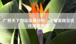 广贸天下网站流量分析，流量表现及优化策略探讨