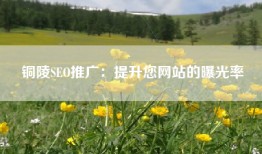 铜陵SEO推广：提升您网站的曝光率