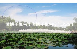 微博手机名（微博手机名字怎么改）